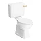 Arezzo Traditional Toilet with Brushed Brass Lever Large Image