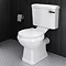 Arezzo Traditional Toilet with Chrome + Matt Black Lever Large Image