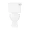 Arezzo Traditional Toilet with Chrome Lever  additional Large Image