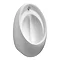 Armitage Shanks Contour HygenIQ Urinal Bowl - S611901 Large Image