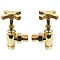 Art Deco Traditional Angled Cross Head Radiator Valves - Vintage Gold Large Image