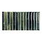 Ashoro Kit-Kat Green Wall Tiles - 115 x 231mm