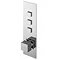 Asquiths Revival Push Button Shower Valve (Triple Outlet) - SHC5103 Large Image