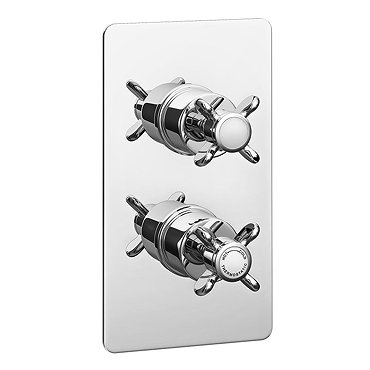 Astoria Traditional Twin Concealed Thermostatic Shower Valve  Profile Large Image