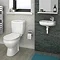 Avon Compact Cloakroom Suite Large Image
