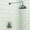 Back To Wall Shower Elbow for Exposed Shower Valves  Profile Large Image