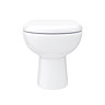 Back To Wall Toilet with Soft Close Seat + Concealed Cistern Feature Large Image