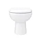 Back To Wall Toilet with Soft Close Seat + Concealed Cistern  Feature Large Image