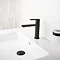 BagnoDesign Teatro Matt Black Mono Basin Mixer Feature Large Image