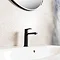 BagnoDesign Teatro Matt Black Mono Basin Mixer Standard Large Image