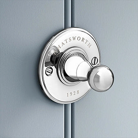 Chrome bathroom hook