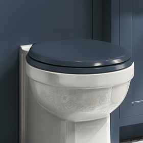 blue toilet seat