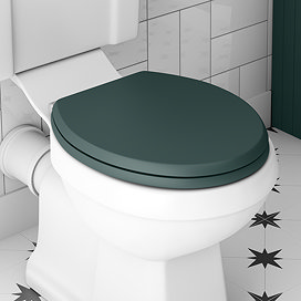 Coloured Toilet Seats