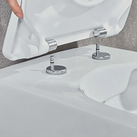 Quick Release Toilet Seats
