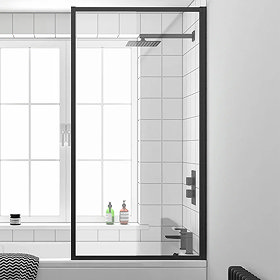 Fixed bath shower screen