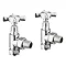 Bauhaus Belle Chrome Angled Radiator Valves - RADVA3C Large Image