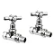 Bauhaus Belle Chrome Straight Radiator Valves - RADVS3C Large Image