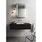 Bauhaus Pier Wall Hung Console Unit & Basin - Anthracite Profile Large Image