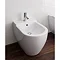 Bauhaus - Stream II Back to Wall Bidet Feature Large Image