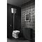 Bauhaus - Waldorf Art Deco Back to Wall High Level Toilet with Soft Close Seat Feature Large Image