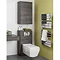 Bauhaus - Back to Wall WC Furniture Unit - Anthracite - SP5492AN Profile Large Image