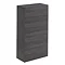 Bauhaus - Back to Wall WC Furniture Unit - Anthracite - SP5492AN Large Image