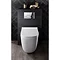 Bauhaus Wild Back to Wall WC + Soft Close Seat  Feature Large Image