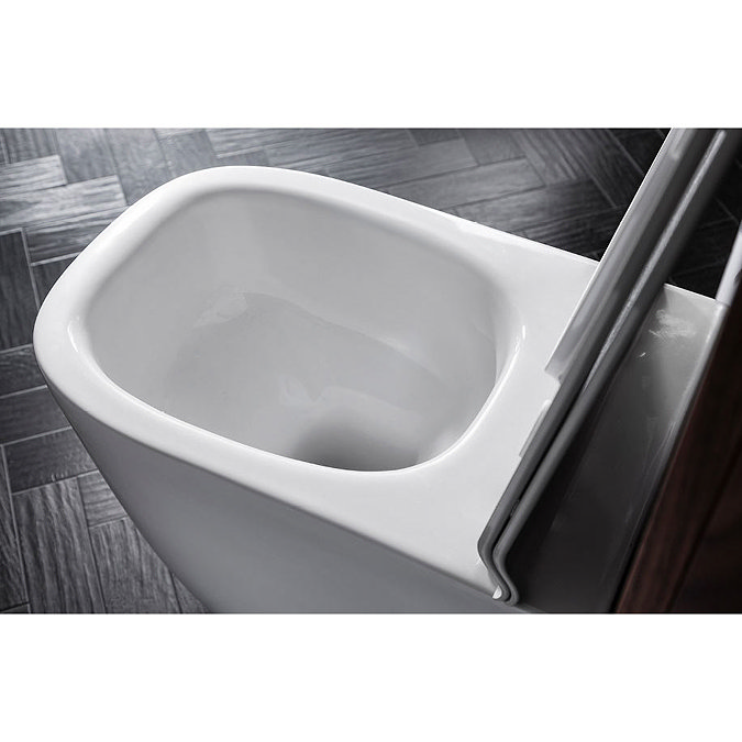 Bauhaus Wild Rimless Wall Hung WC + Soft Close Seat Standard Large Image