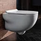 Bauhaus Wild Wall Hung WC + Soft Close Seat Large Image