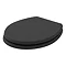 Bayswater Matt Black Fitzroy Traditional Toilet Seat Large Image