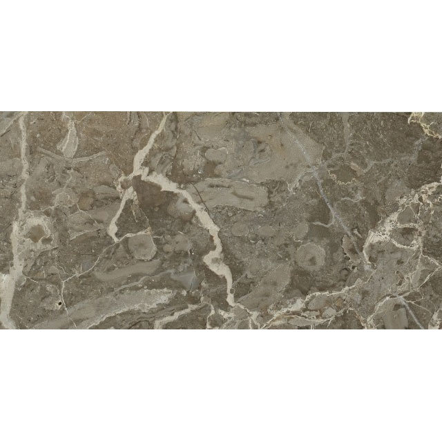 BCT Tiles - 4 Elite Java Grey Polished Stone Tiles - 305x457mm - ISC2692 Large Image
