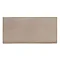 BCT Tiles - 44 Cookhouse Character Mink Gloss Wall Tiles - 150x75mm - BCT23432 Large Image
