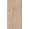 BCT Tiles - 6 Parallel Dark Beige Gloss High Definition Wall Tiles - 300x600mm - BCT20362 Large Image