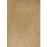 BCT Tiles - 7 Cappucino Almond High Definition Wall Tile - 310x450mm - ISC3011 Large Image
