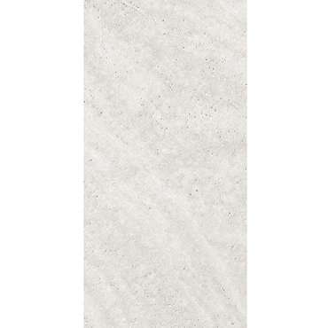 BCT Tiles - 8 Ditto Light Grey High Definition Wall Tile - 248x498mm - BCT20455 Profile Large Image