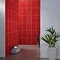 BCT Tiles - 10 Brighton Red Wall Gloss Tiles - 248x398mm - BCT12191 Profile Large Image