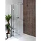 BCT Tiles - 4 Dartmoor Naturals Dolomite Leaf Satin Strips - 123x398mm - BCT08637 Profile Large Image