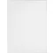 BCT Tiles - 12 White Wall Gloss Tiles - 248x331mm - CAN33207 Large Image