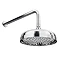 Belmont Traditional 8" Apron Rose Shower Head with Arm  Profile Large Image