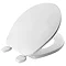 Bemis Ashford Toilet Seat with Adjustable Hinges - 7E70AR000 Large Image