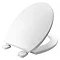 Bemis Chester Top Fixing Standard Toilet Seat - 7220AR000 Large Image