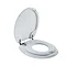 Bemis - Next Step Child Toilet Seat - 4200FS000 Feature Large Image