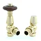 Bentley TRV Thermostatic Radiator Valve - Brass Large Image