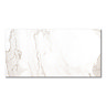 Bertrand Gloss Gold Marble Effect Wall and Floor Tiles - 300 x 600mm