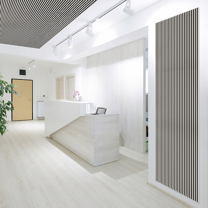 Bolzano Silver Birch Slatted Wood Effect Acoustic Wall Panel 2400 x 572mm