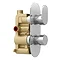 Bosa Modern Twin Concealed Thermostatic Shower Valve  In Bathroom Large Image