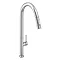 Bower Geneva Kitchen Sink Mixer with Pull-Out Hose and Spray Head - Polished Stainless Steel