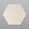 BR21X25IVO-