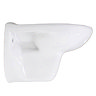 Brisbane Wall Hung Toilet inc Seat Profile Large Image