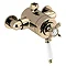 Bristan 1901 Exposed Concentric Top Outlet Shower Valve - Gold - N2-CSHXTVO-G Large Image